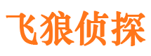 任县市婚外情调查